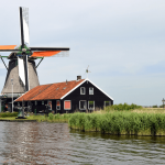 Top 5 most overrated players in the Premier League 2019-20