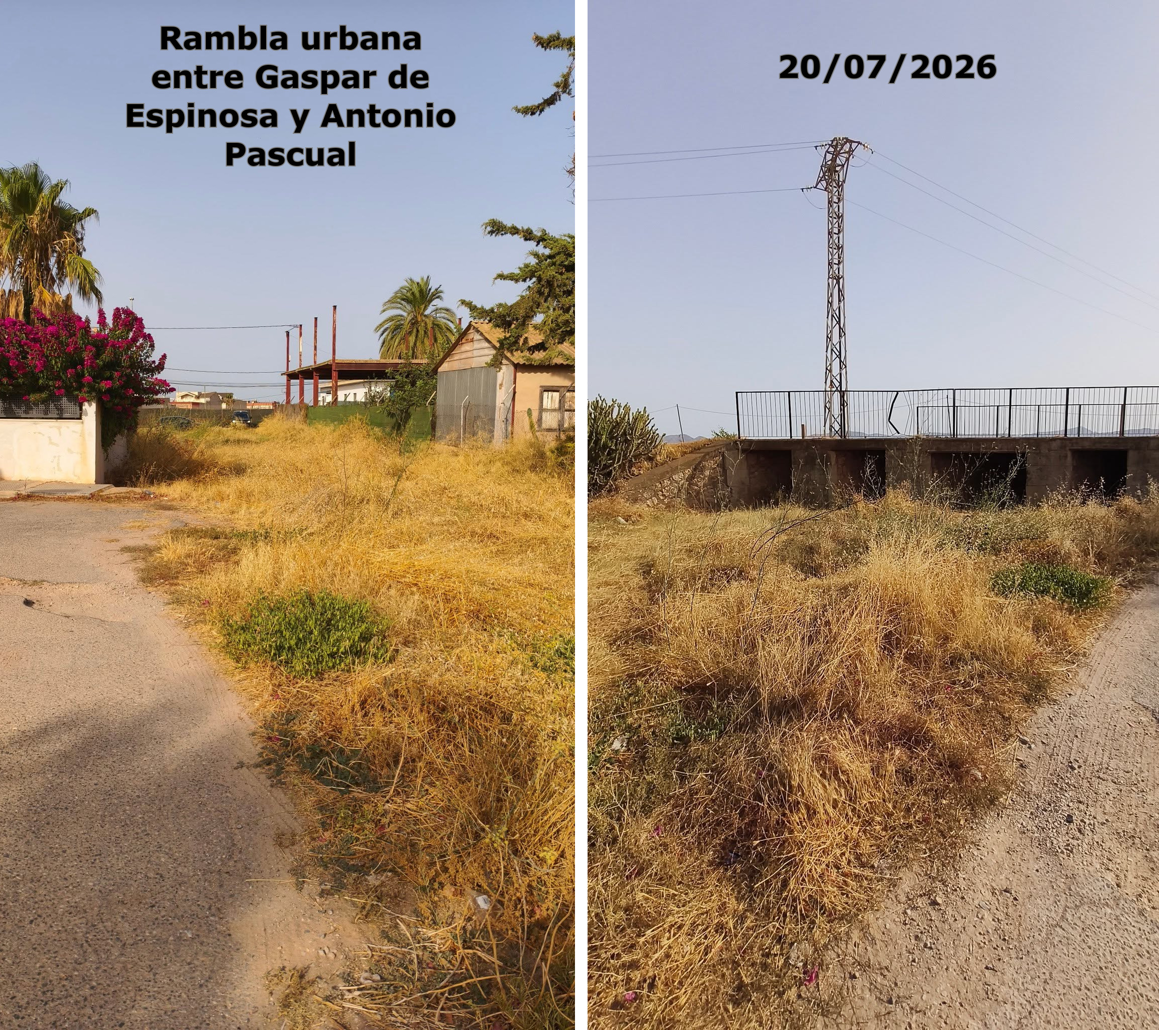 Registro de entrada AAVV La Aljorra solicitud desbroce urgente de maleza en rambla urbana