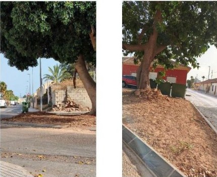 Escrito de la AAVV de La Aljorra solicitando información sobre las obras en las plazas de los árboles históricos